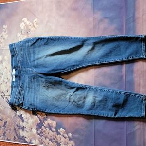16 Short Pull On Skinny Jeggings Tummy Shapping Denim